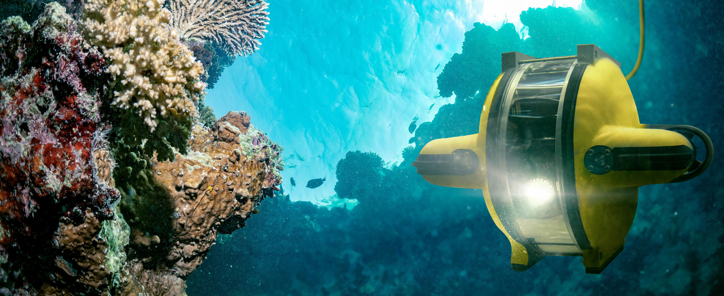 Unterwasserroboter erforscht die Tiefsee