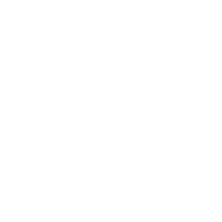 Logo Bonn Institute